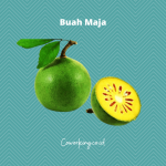 Buah Maja