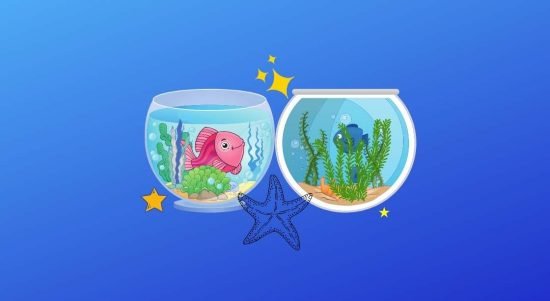 ikan hias aquascape