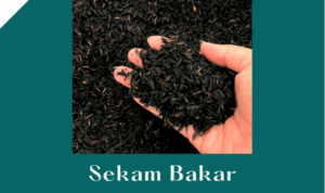 Sekam Bakar