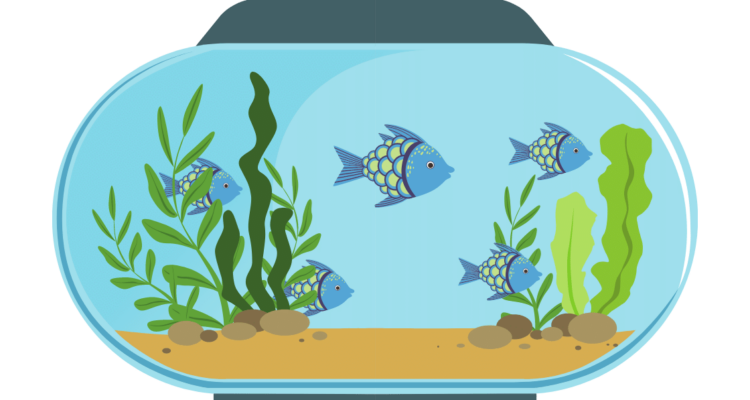 ikan hias