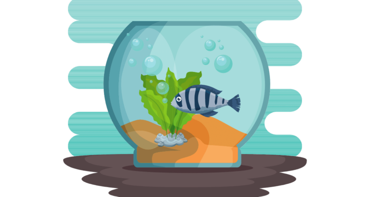 ikan hias