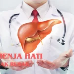 Cara Menjaga Hati Agar Tidak Rusak: Panduan Kesehatan