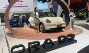 Mobil China