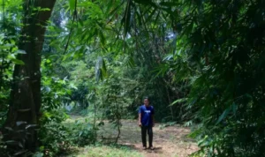 Sejarah Cagar Alam Depok Sejarah Cagar Alam Depok
