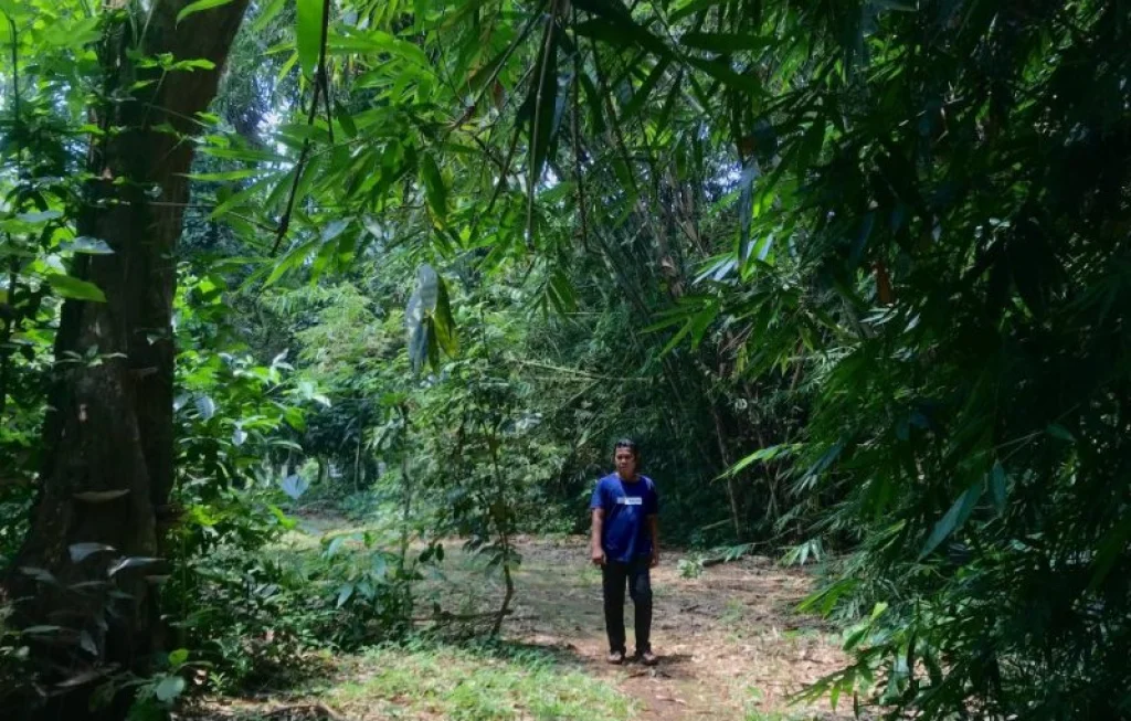 Sejarah Cagar Alam Depok