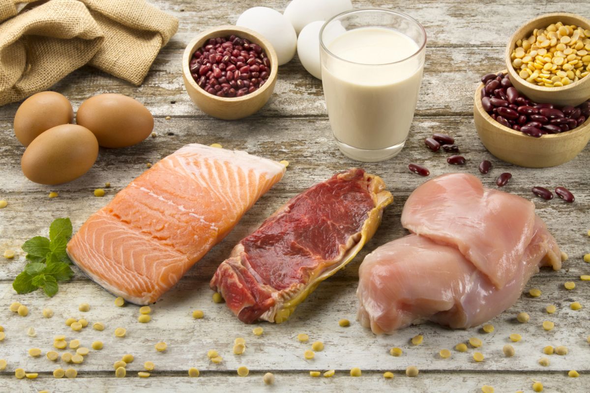 Tinggi Protein