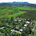 Perkebunan Lereng Kelud