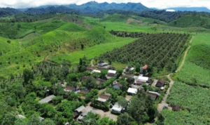 Perkebunan Lereng Kelud Perkebunan Lereng Kelud