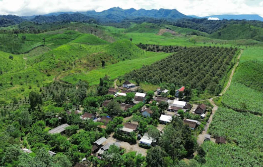 Perkebunan Lereng Kelud