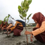 wisata ramah lingkungan