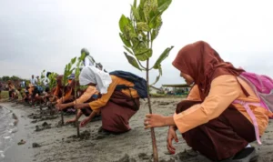 wisata ramah lingkungan