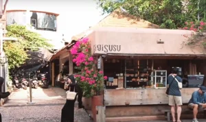 Gigi Susu